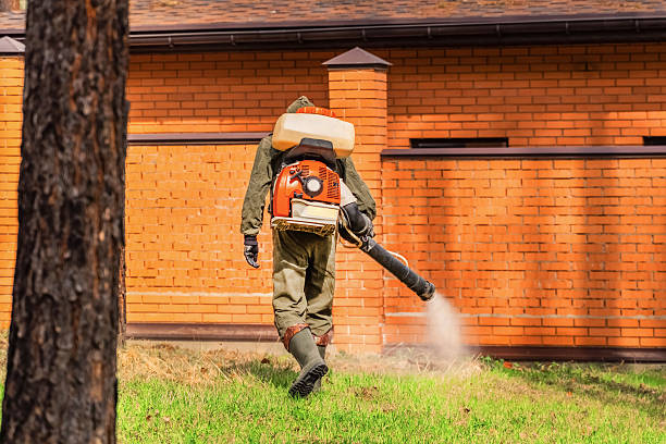Trusted Bed Bug Control service in Holiday Valley, OH - Nex Pest Control